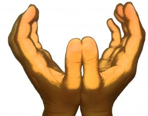 EdenHandsfreeKoernung
